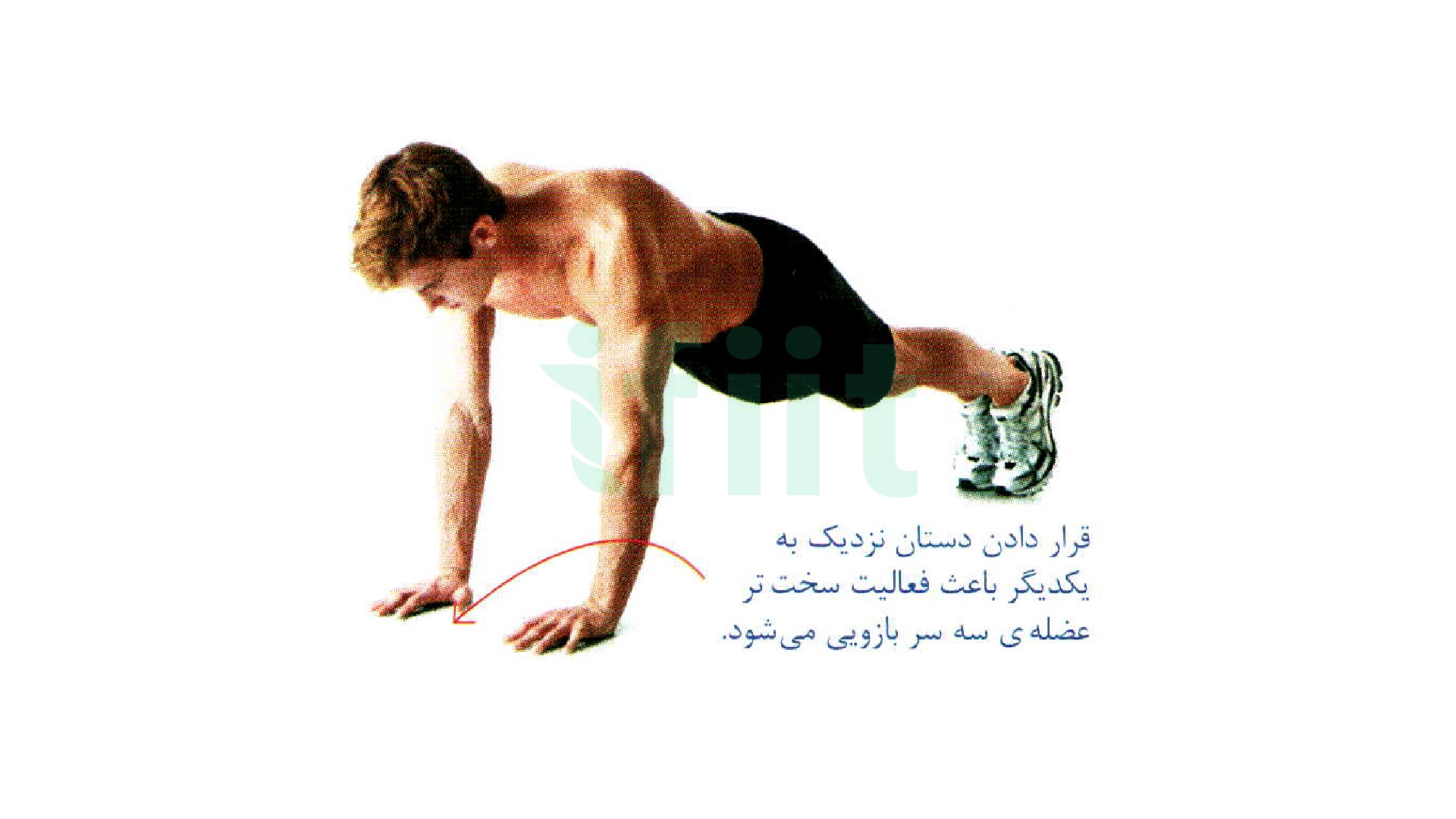 شنا با دستان جمع یا نزدیک به هم 