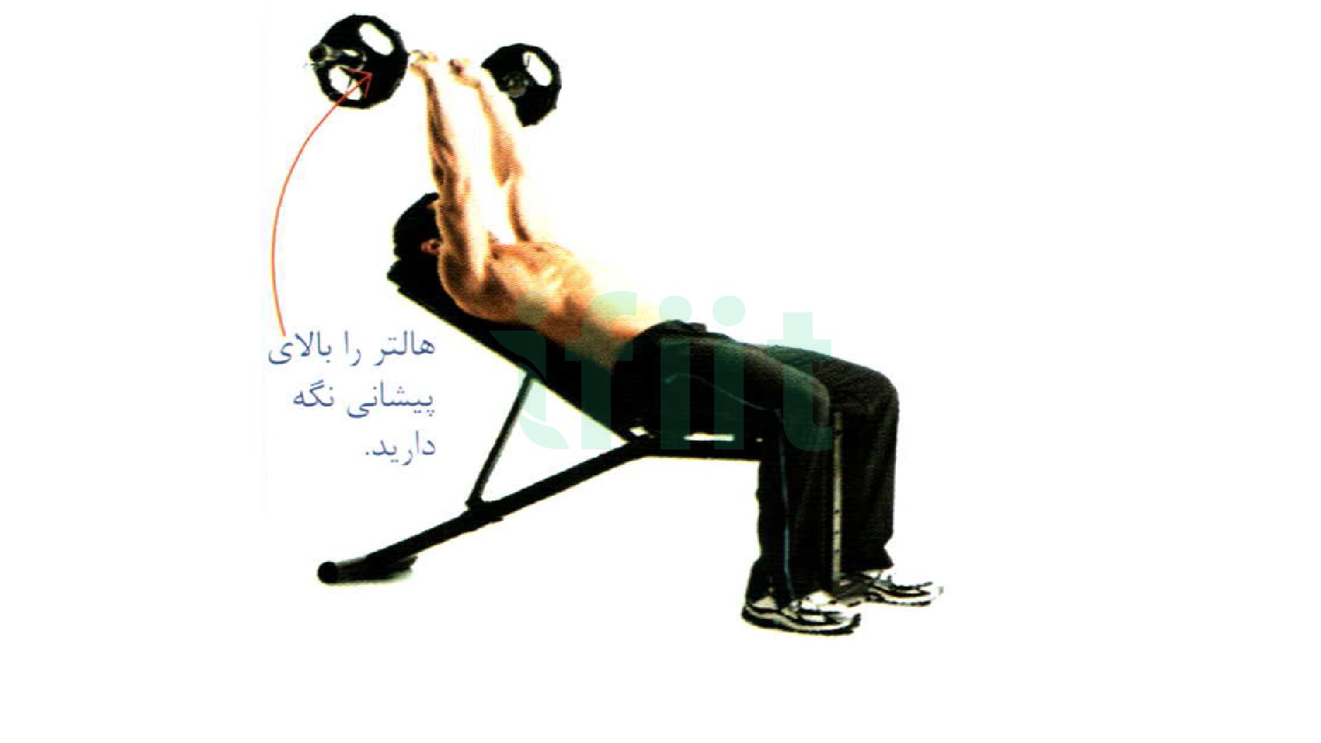 دوره پشت بازو با هالتر لاری خوابیده به پشت میز شیب دار بالا   در تمرینت
