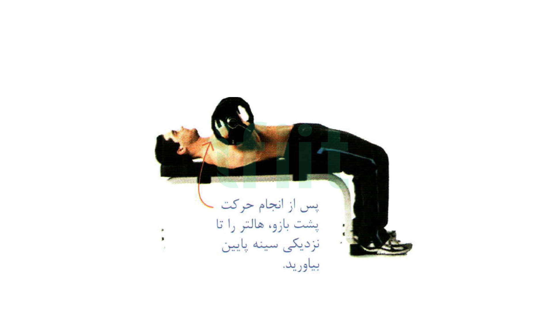 دوره تبدیل حرکت پشت بازو خوابیده به پشت به پرس سینه دست جمع  در تمرینت