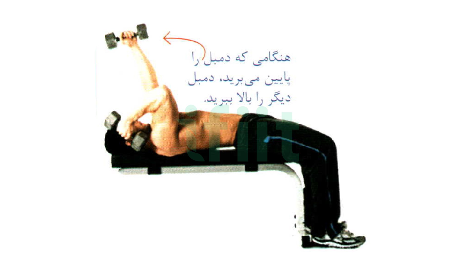 دوره پشت بازو با دمبل خوابیده به پشت متناوب  در تمرینت