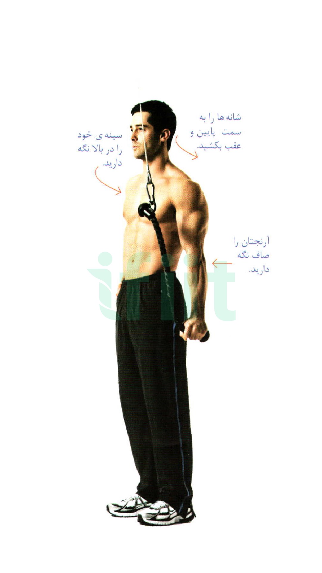 پشت بازو سیم کش طناب تک دست 