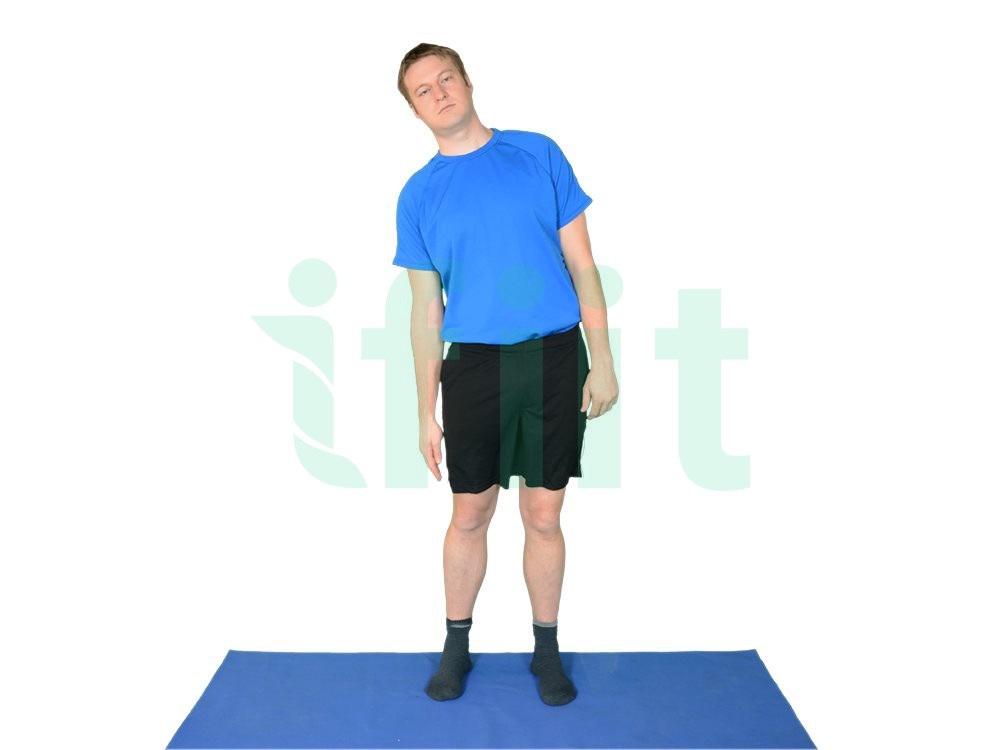Lumbar Segmental Side Flexion