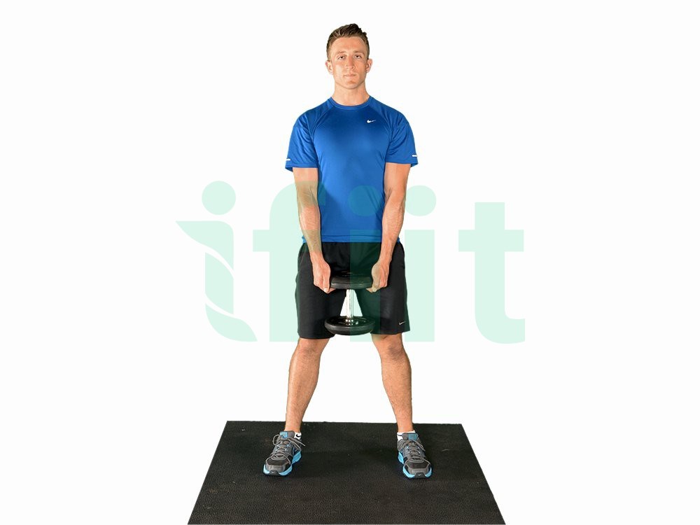 Sumo Squat (Dumbbell)